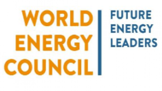 Engaging Voices for Transformation: Intergenerational Insights on Energy Priorities and Uncertainties 